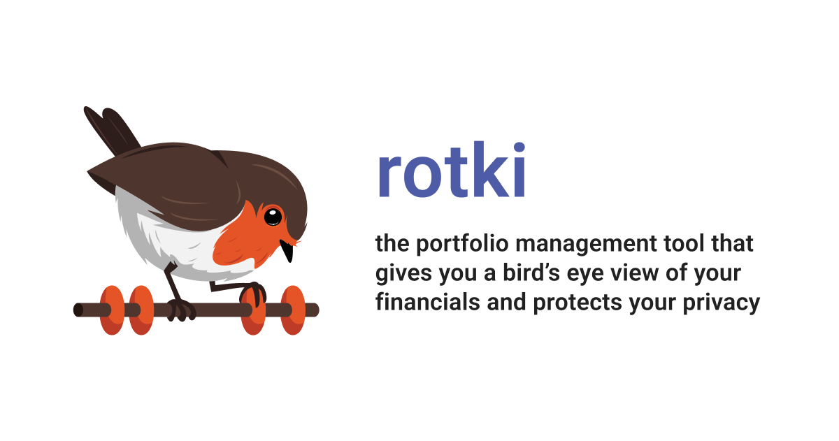 Rotki application banner showing the main interface