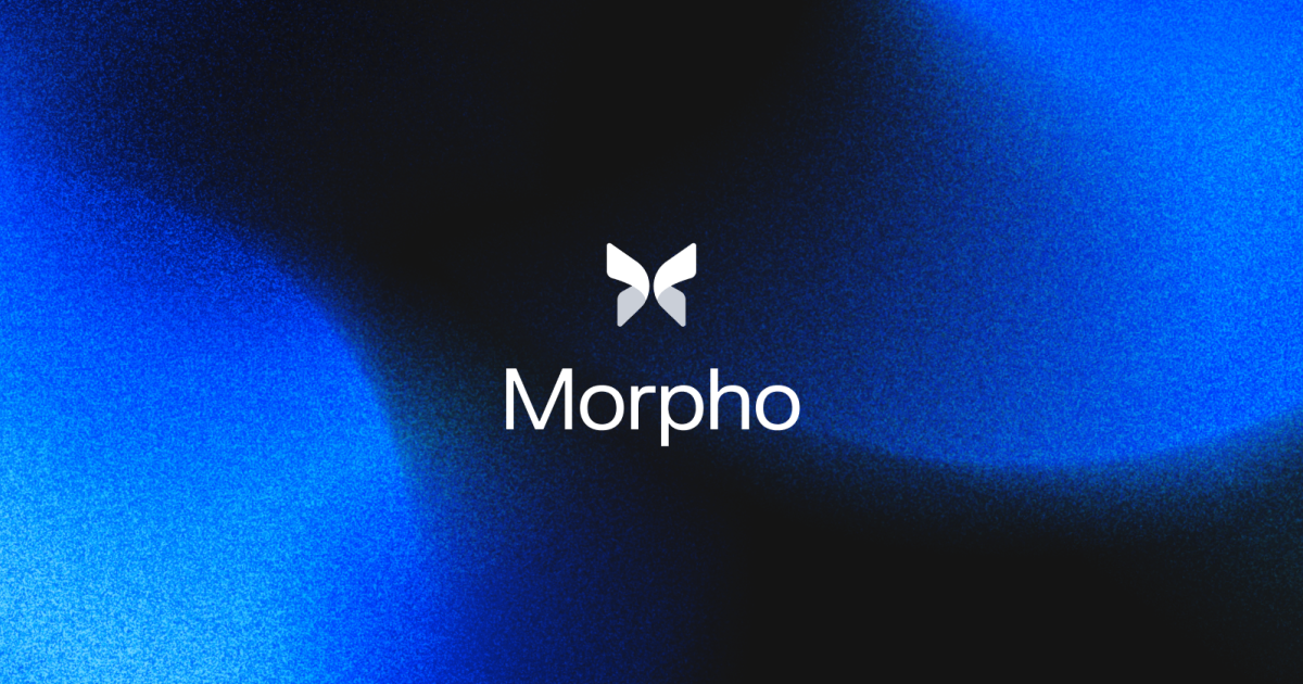 Morpho application banner showing the main interface
