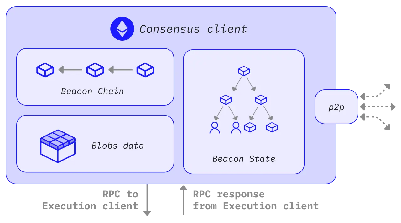 Diagram of the Ethereum consensus client networking layer