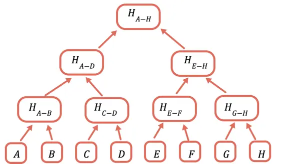 Merkle Tree