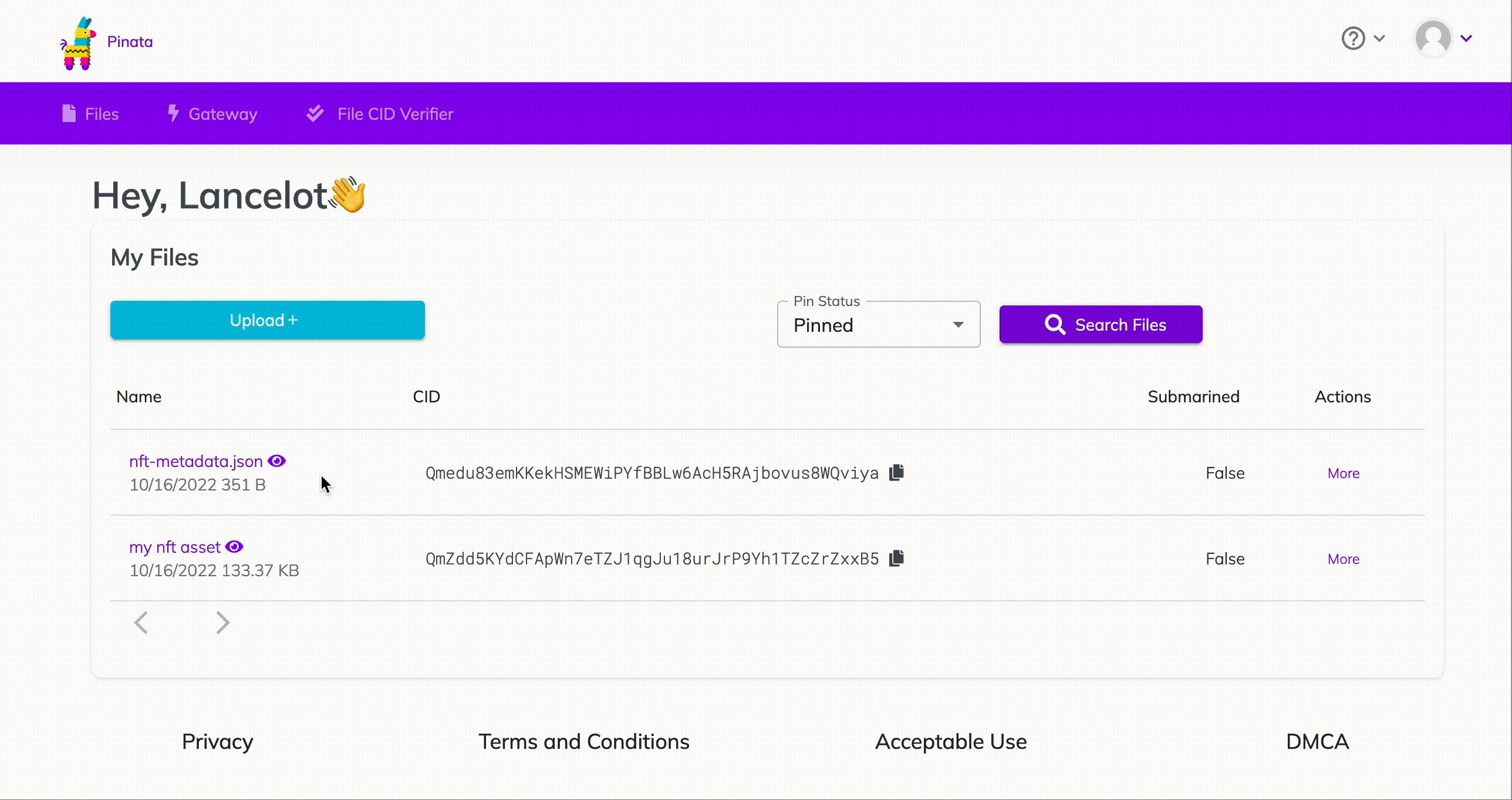 How to get your nft metadata hashcode on Pinata
